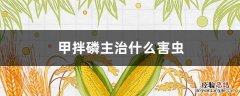 甲拌磷主治什么害虫 甲拌磷防治害虫的使用方法