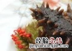 辽参的功效和作用及禁忌 辽参的功效和作用及禁忌是什么