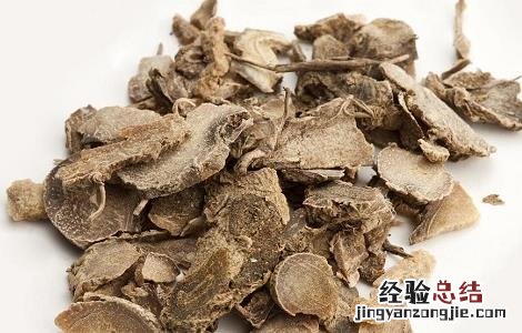 香樟树根的功效与作用 香樟树根的功效与作用是什么