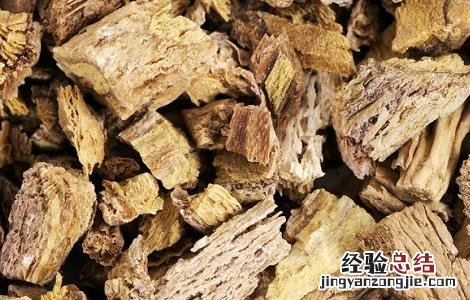 香樟树根的功效与作用 香樟树根的功效与作用是什么