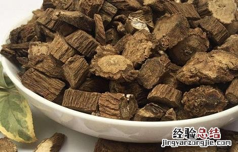香樟树根的功效与作用 香樟树根的功效与作用是什么