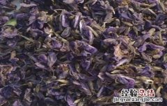 葛根花的药用功效及相关禁忌 葛根花的药用功效与副作用