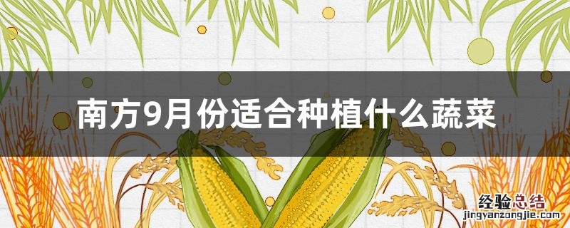 南方9月份适合种植什么蔬菜 南方九月份适合种植什么蔬菜
