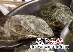 外观怎么区分生蚝和牡蛎 外观怎么区分生蚝和牡蛎图片