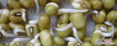 家庭发绿豆芽的步骤? 家庭发绿豆芽的简单方法