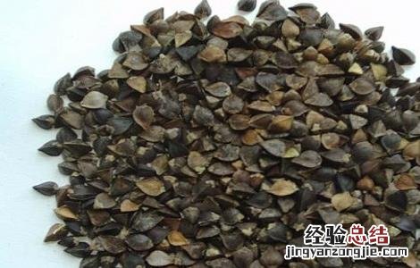 苦荞麦功效和作用及禁忌 苦荞麦的功效及禁忌