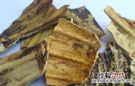 龟甲的功效与作用 龟甲的功效与作用的功能与主治