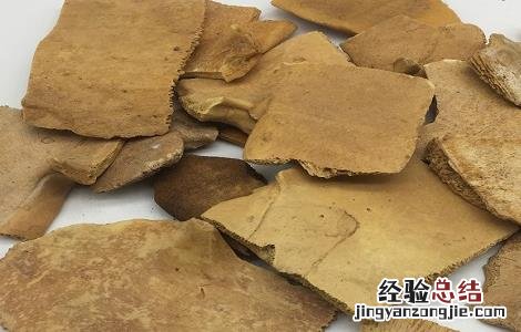 龟甲的功效与作用 龟甲的功效与作用的功能与主治