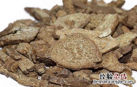 南沙参的功效与作用,南沙参的副作用 南沙参的功效与作用