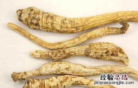 南沙参的功效与作用,南沙参的副作用 南沙参的功效与作用