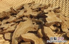 中药炒白术的功效与作用及食用方法 中药炒白术的功效与作用