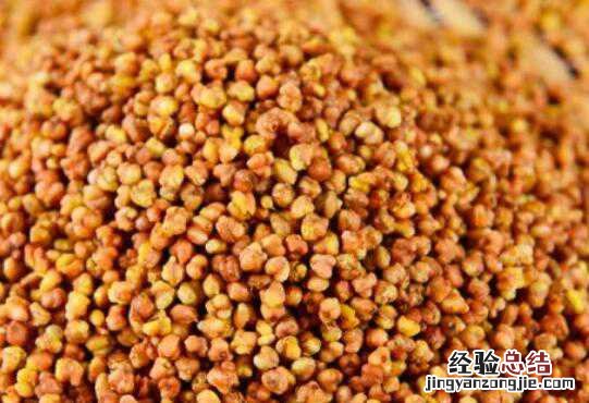 黑苦荞米怎么吃，黑苦荞米的正确吃法