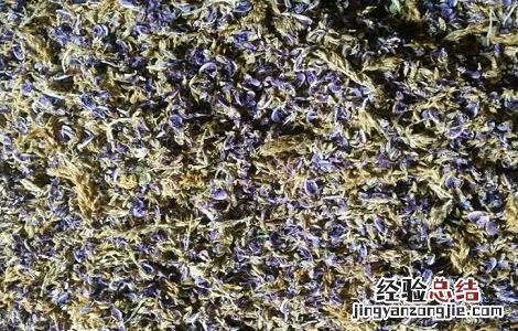 葛花的功效与作用 中药葛花的功效与作用