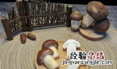 松茸吃法大全 松茸的吃法简单介绍