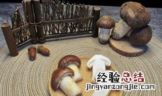 松茸吃法大全 松茸的吃法简单介绍