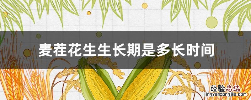 麦茬花生几天出苗 麦茬花生生长期是多长时间