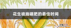 花生喷施硼肥的最佳时间 花生喷施硼肥的最佳时间下针期要施什么肥