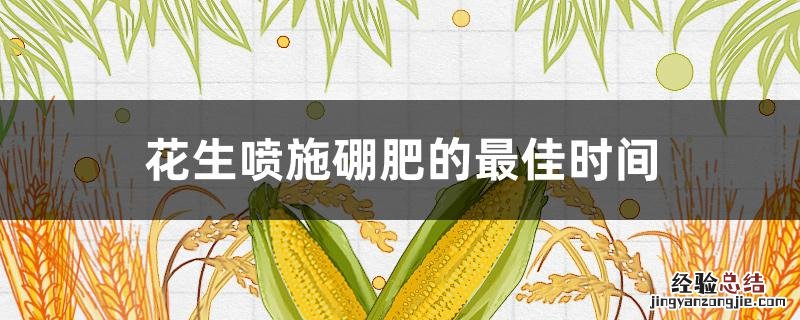 花生喷施硼肥的最佳时间 花生喷施硼肥的最佳时间下针期要施什么肥