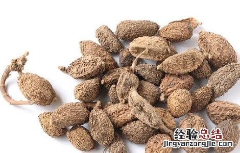 砂仁的功效与作用禁忌及食用方法 砂仁的功效