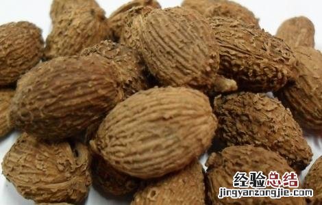 砂仁的功效与作用禁忌及食用方法 砂仁的功效