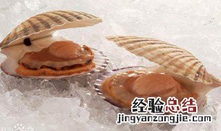 养殖扇贝活好干吗 扇贝养殖工都干什么活