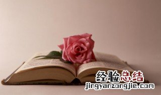 绕怎么组词语和拼音 绕怎么组词
