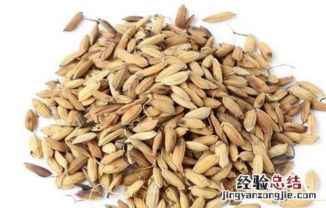 谷芽的功效与作用 麦芽谷芽的功效与作用