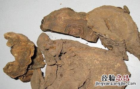 大黄的功效与作用图片 大黄的功效与作用