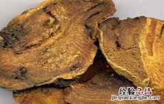大黄的功效与作用图片 大黄的功效与作用