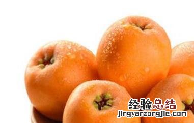 枇杷果怎么吃 枇杷果功效介绍 枇杷果怎么吃效果最好