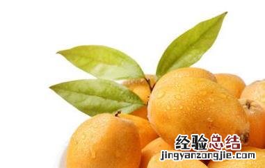 枇杷果是热性还是凉性 枇杷果是热性还是凉性水果