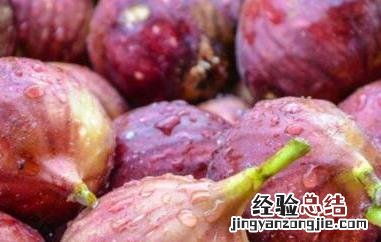 5种人不能吃无花果 无花果的食用禁忌 5种人不能吃无花果