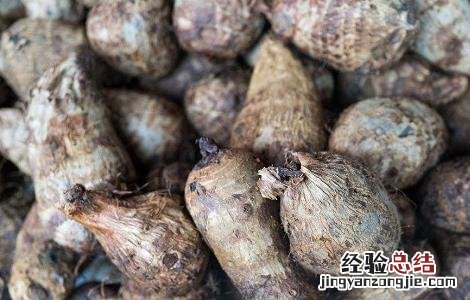 毛芋头的功效与食用方法 毛芋头有哪些功效