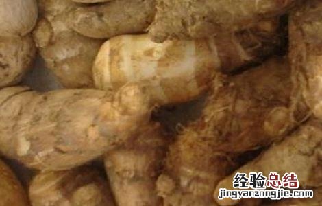 毛芋头的功效与食用方法 毛芋头有哪些功效