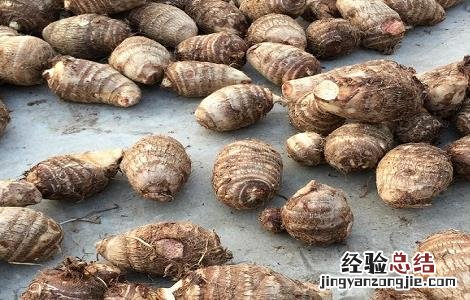 毛芋头的功效与食用方法 毛芋头有哪些功效