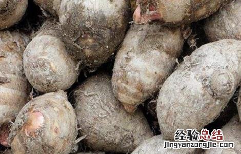 毛芋头的功效与食用方法 毛芋头有哪些功效