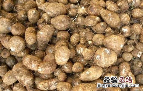 毛芋头的功效与食用方法 毛芋头有哪些功效