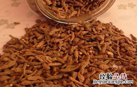 蕨麻的功效与作用 蕨麻的食用禁忌 蕨麻的功效与作用