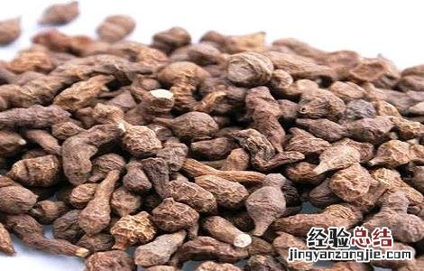 蕨麻的功效与作用 蕨麻的食用禁忌 蕨麻的功效与作用