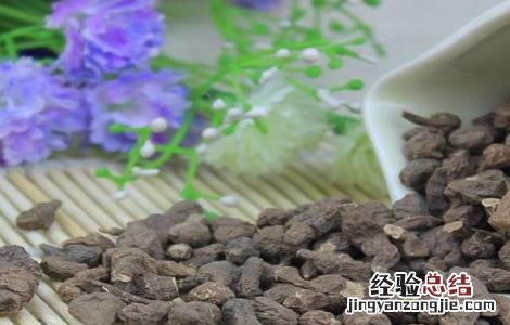 蕨麻的功效与作用 蕨麻的食用禁忌 蕨麻的功效与作用