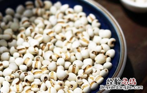 薏米仁的功效与作用的功能与主治 薏米仁的功效与作用