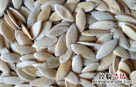 黄瓜籽的功效与作用及禁忌有哪些? 黄瓜籽的功效与作用及禁忌