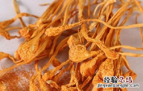 蛹虫草的功效与作用及食用方法 蛹虫草的功效与作用