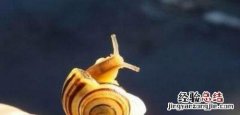 肛门附近长了个疙瘩