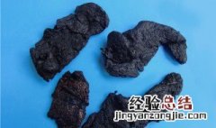 熟地黄和生地的功效与作用 熟地黄与生地的区别