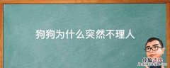 狗狗为什么突然不理人了 狗狗为什么突然不理人