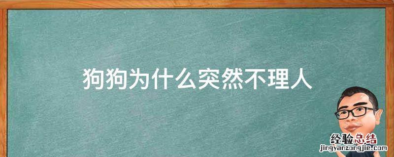 狗狗为什么突然不理人了 狗狗为什么突然不理人