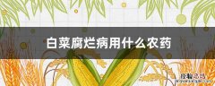 白菜腐烂病用什么农药治 白菜腐烂病用什么农药