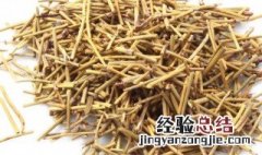 生麻黄的功效与作用点的功效与作用及禁忌 生麻黄功效与作用是什么