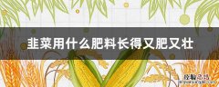 韭菜用什么肥料长得又肥又壮 韭菜施什么肥长的又粗又壮